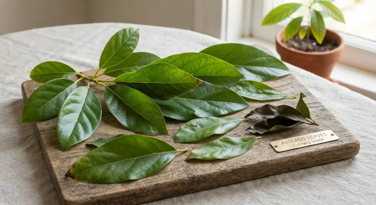 Dried Ground Avocado Leaves: Flavor Profile, Health Benefits & Culinary Uses